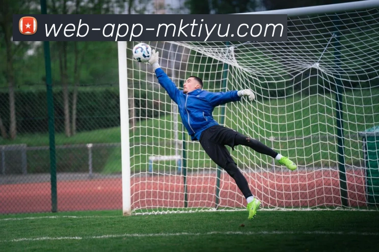 MK体育平台生态图